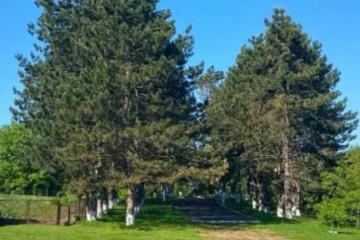 Фото №5: Дом 148 м² - Шептальский, ул. Мичурина, 5