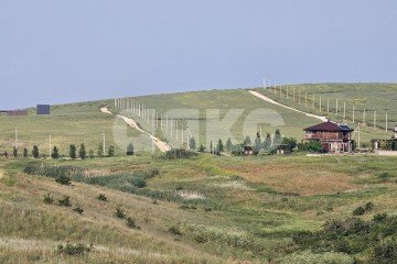 Фото №5: Земельный участок под ИЖС - Веселовка, ул. Гвардейская