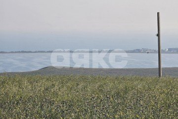 Фото №2: Земельный участок под ИЖС - Веселовка, ул. Гвардейская