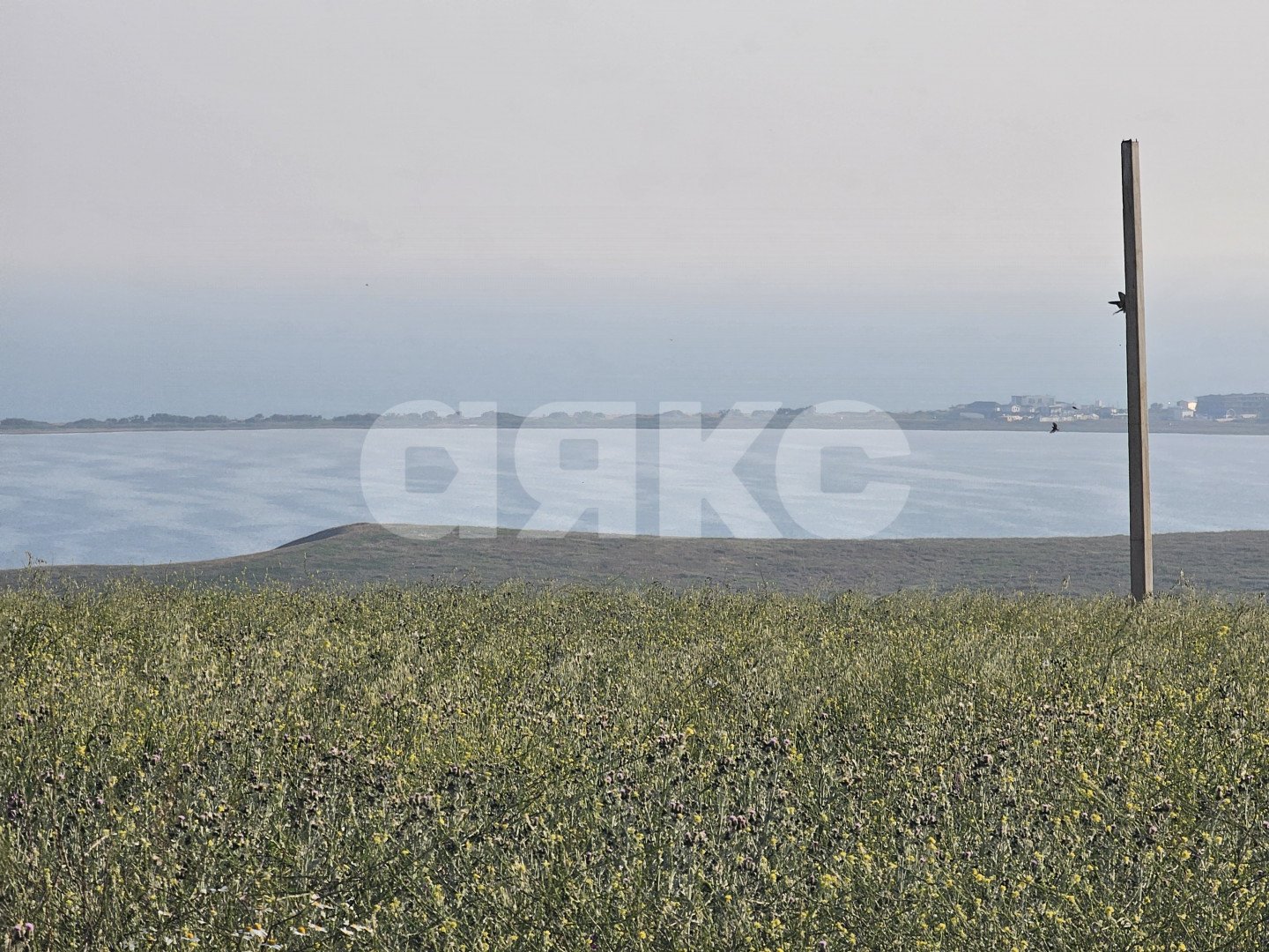 Фото №2: Земельный участок под ИЖС 5 сот. - Веселовка, ул. Гвардейская