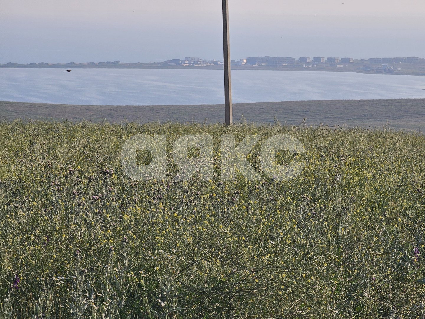 Фото №10: Земельный участок под ИЖС 5 сот. - Веселовка, ул. Гвардейская