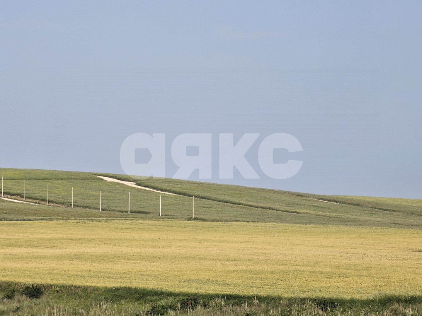 Фото №9: Земельный участок под ИЖС 5 сот. - Веселовка, ул. Гвардейская