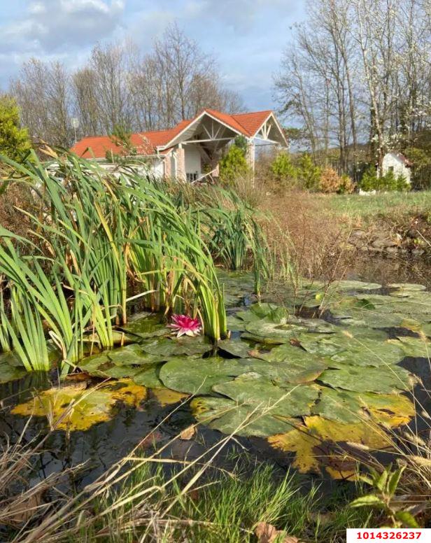 Фото №15: Земельный участок 10.75 сот. - Григорьевская, ул. Южная, 5