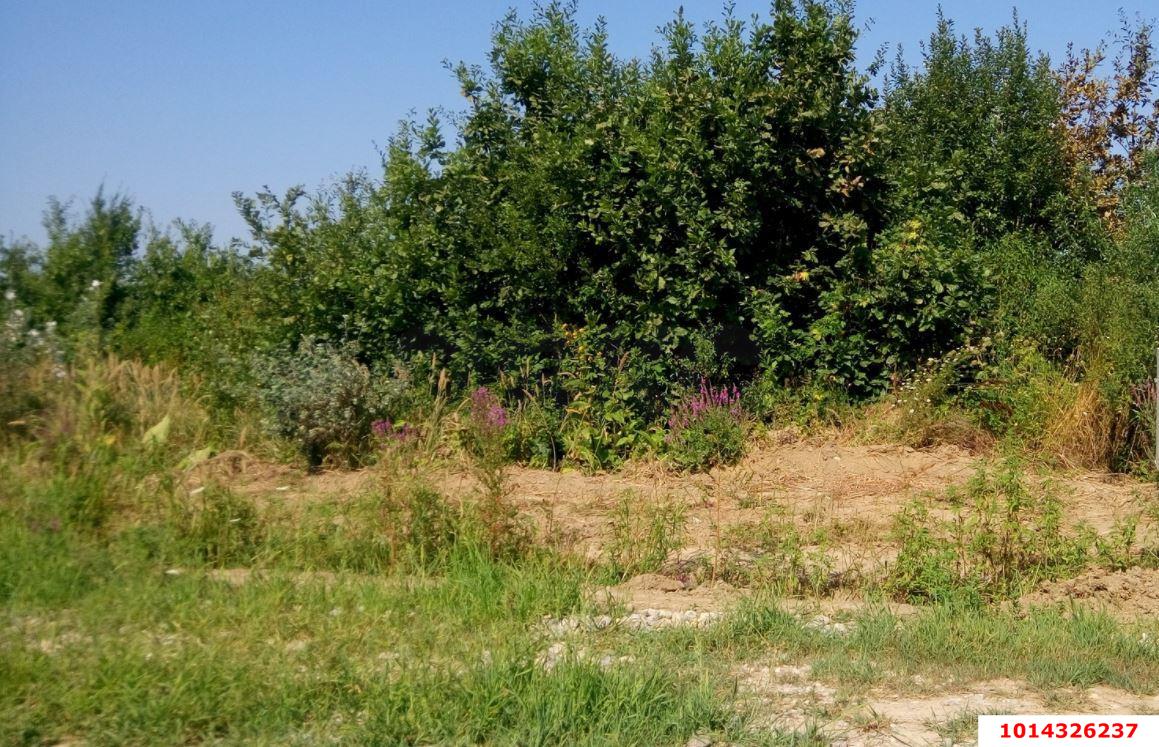 Фото №6: Участок садоводство 10.75 сот. - Григорьевская, ул. Южная, 5