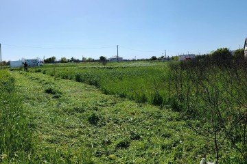 Фото №1: Участок садоводство 8.35 сот. - садовое некоммерческое товарищество Авиатор, мкр. Прикубанский внутригородской округ, ул. Липовая, 215