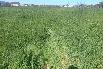 Фото №4: Участок садоводство 8.35 сот. - садовое некоммерческое товарищество Авиатор, мкр. Прикубанский внутригородской округ, ул. Липовая, 215