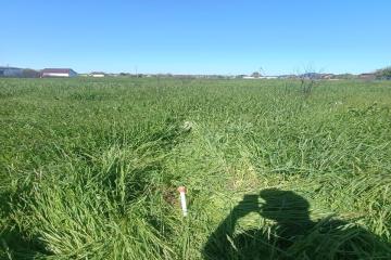 Фото №4: Земельный участок 8.35 сот. - садовое некоммерческое товарищество Авиатор, мкр. Прикубанский внутригородской округ, ул. Липовая, 215