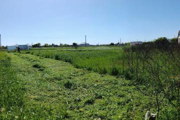 Фото №1: Земельный участок 7.82 сот. - садовое некоммерческое товарищество Авиатор, мкр. Прикубанский внутригородской округ, ул. Липовая, 215