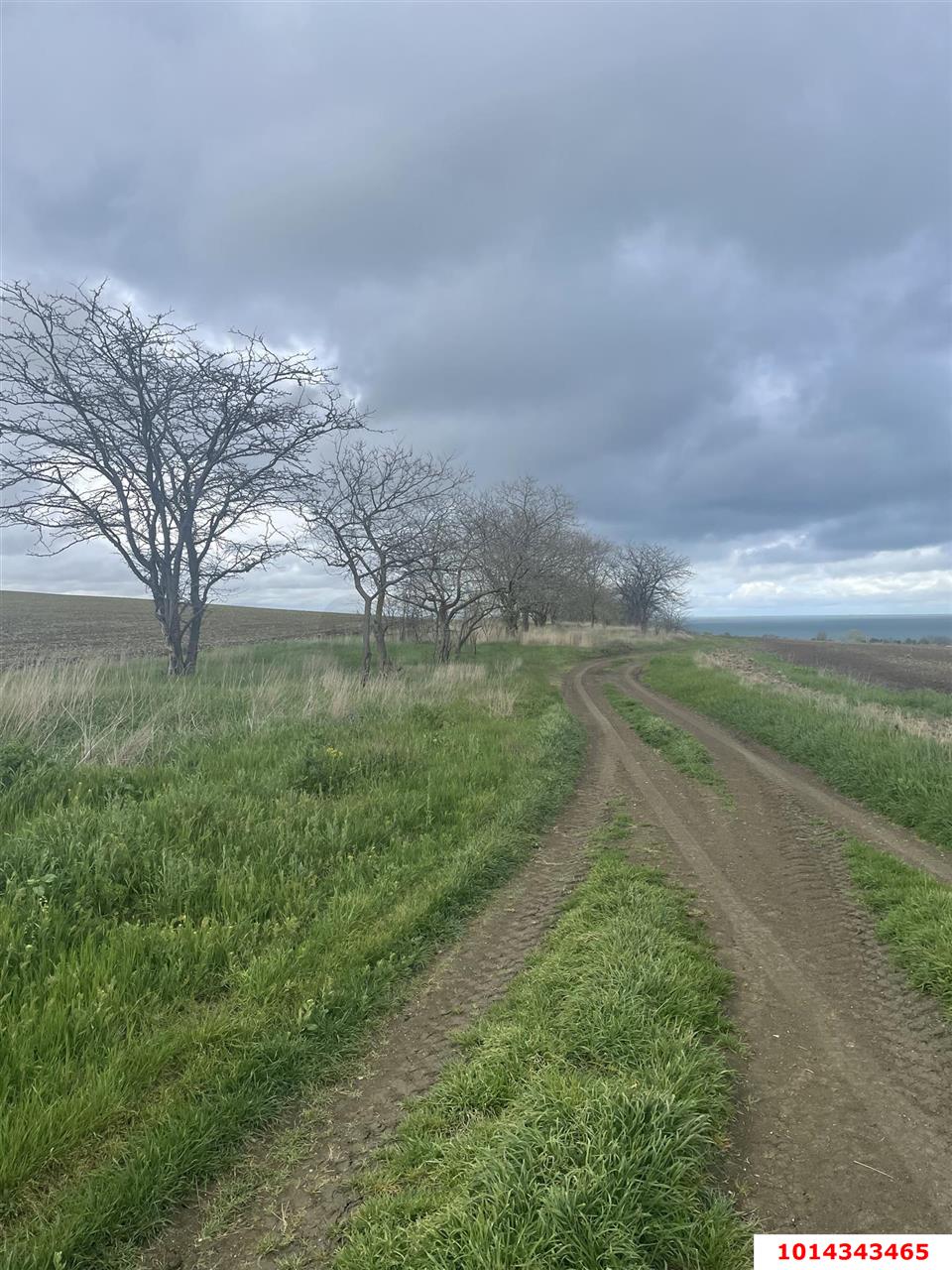 Фото №3: Коммерческая земля 6 сот. - Республика Крым Ленинский район