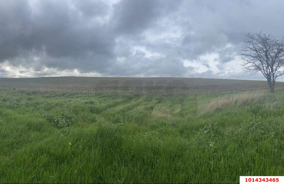 Фото №4: Коммерческая земля 6 сот. - Республика Крым Ленинский район