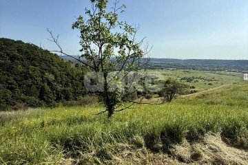 Фото №4: Участок садоводство - Майкоп, мкр. Центр, ул. площадь Ленина