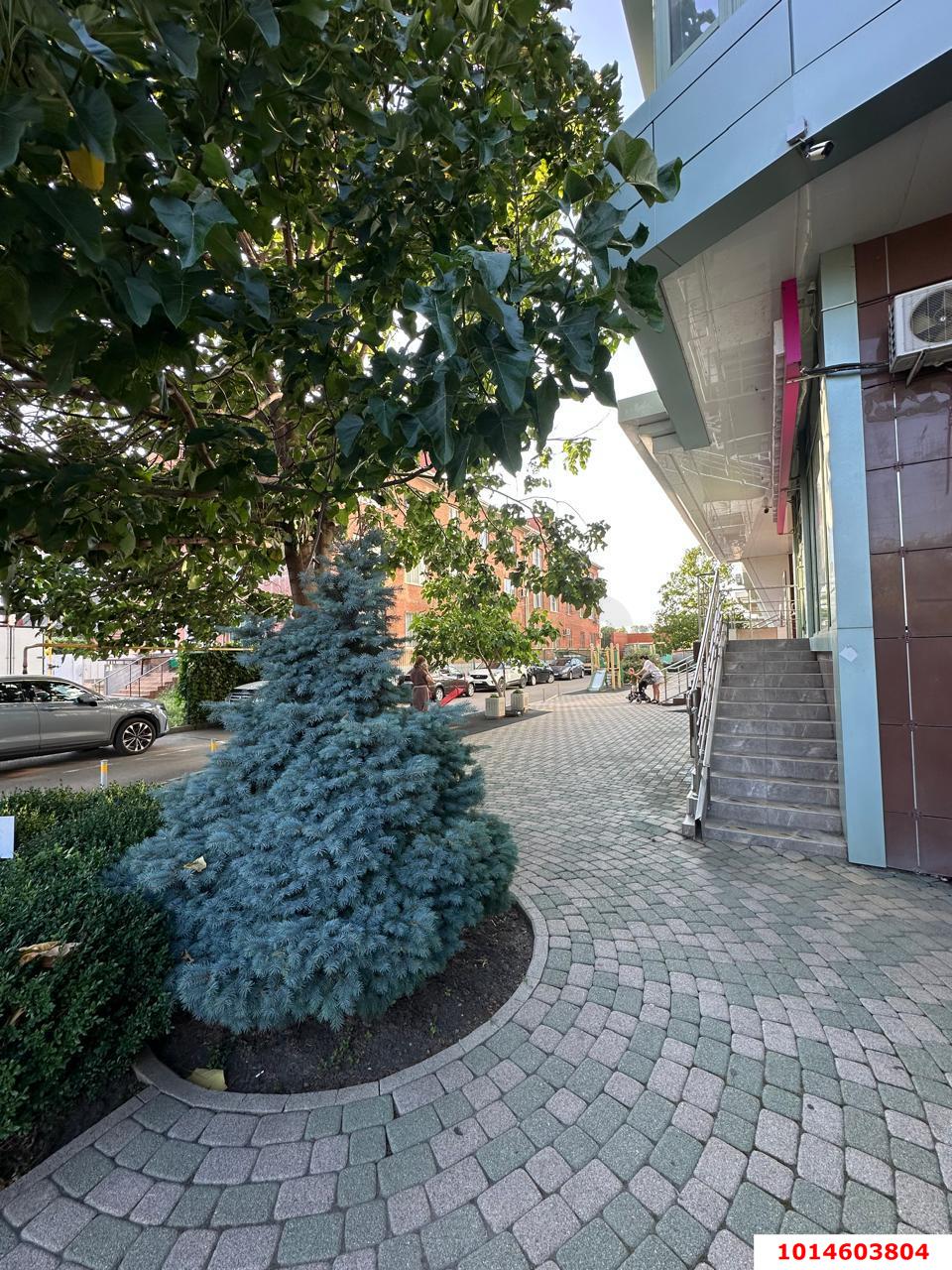 Фото №12: 1-комнатная квартира 61 м² - Краснодар, Сельскохозяйственный Институт, ул. Минская, 68