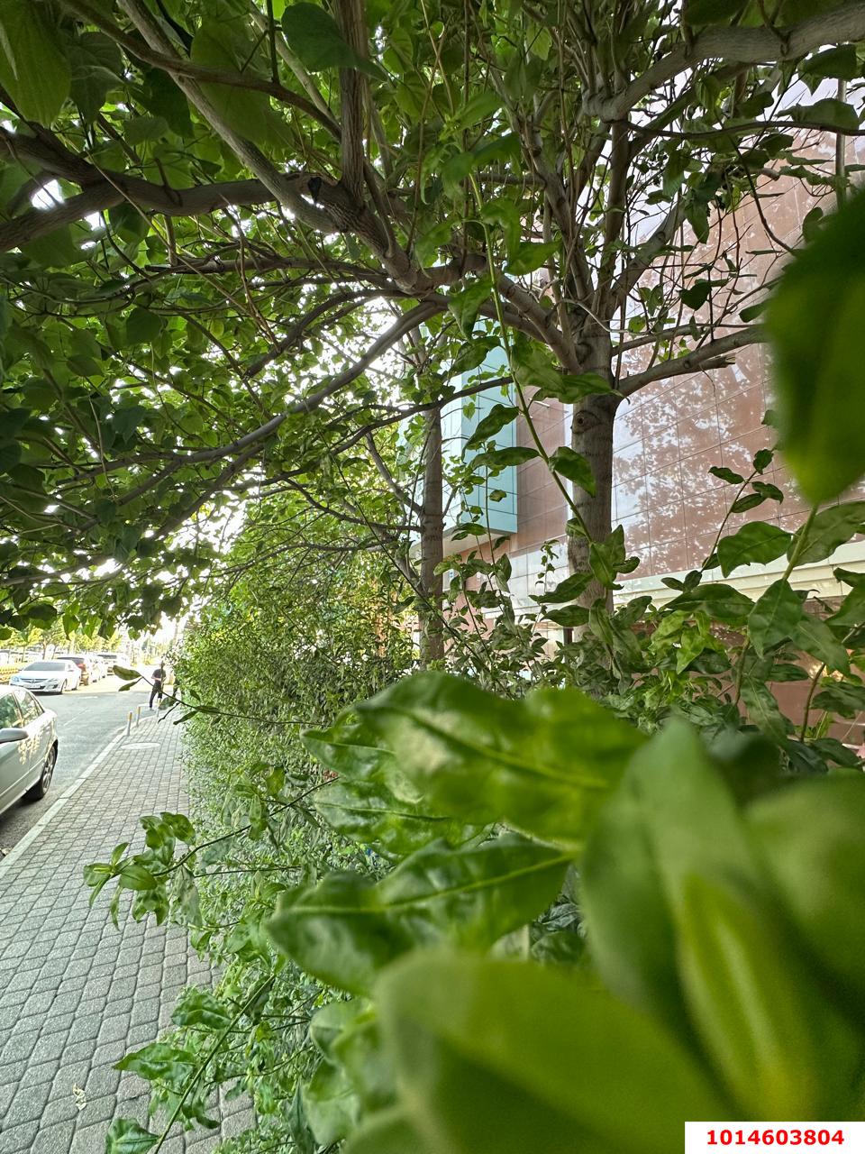 Фото №15: 1-комнатная квартира 61 м² - Краснодар, Сельскохозяйственный Институт, мкр. Западный внутригородской округ, ул. Ташкентская, 1