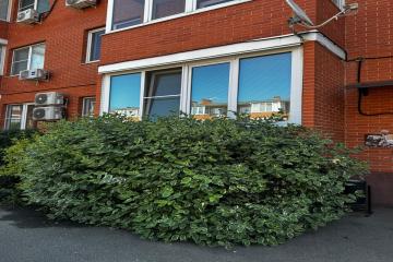 Фото №2: 2-комнатная квартира 70 м² - Краснодар, мкр. жилой комплекс Матрёшки, ул. 1-я Ямальская, 5к6