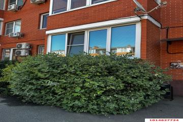 Фото №2: 2-комнатная квартира 70 м² - Краснодар, мкр. жилой комплекс Матрёшки, ул. 1-я Ямальская, 5к6