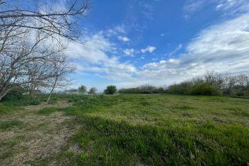 Фото №4: Коммерция 52 м² - Новоивановский, ул. Победы, 3