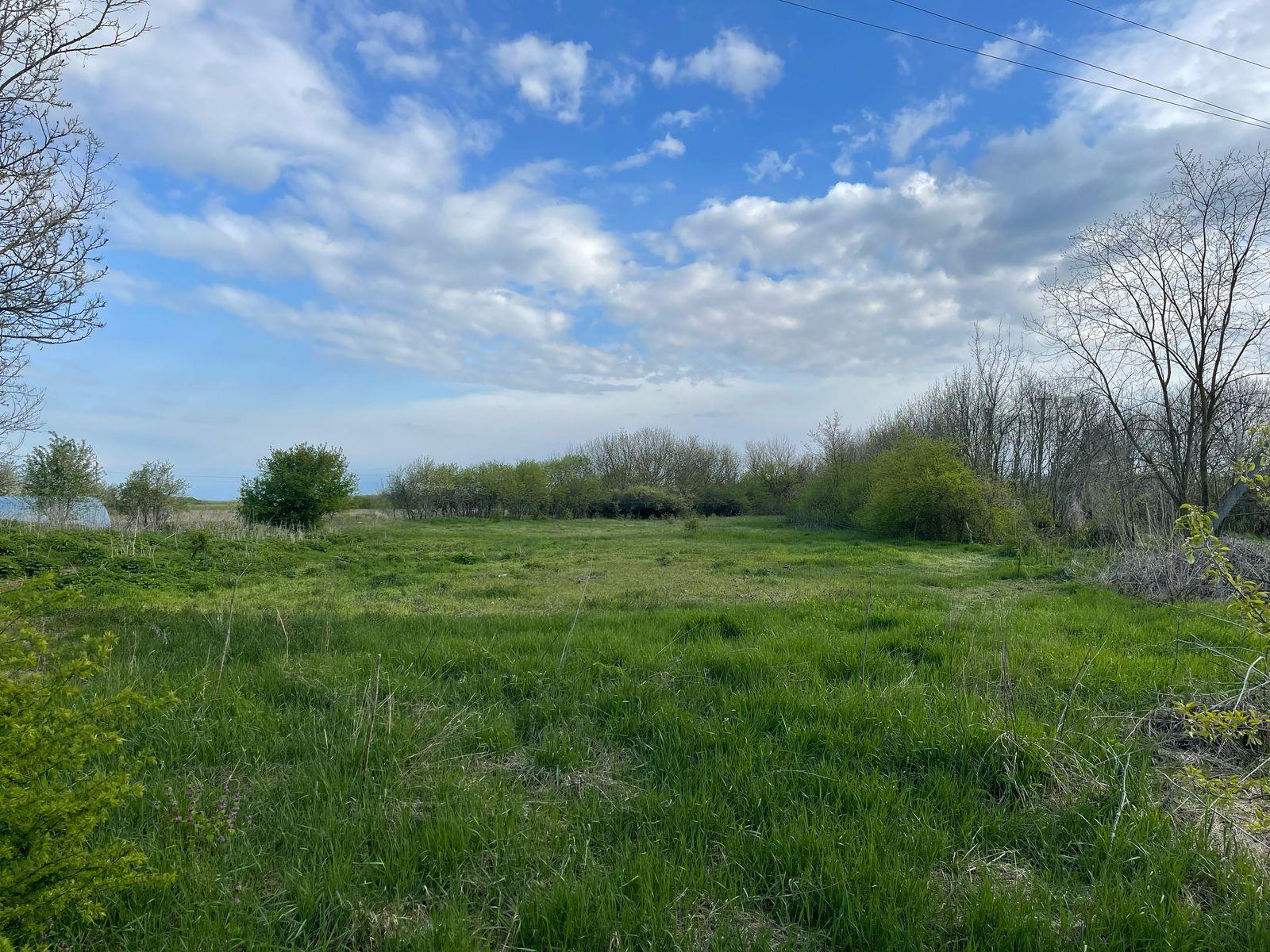 Фото №5: Коммерция 52 м² - Новоивановский, ул. Победы, 3