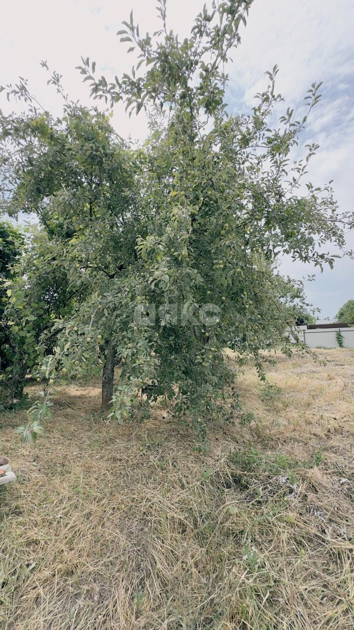 Фото №16: Дом 60 м² + 20 сот. - Платнировская, ул. Калинина, 65