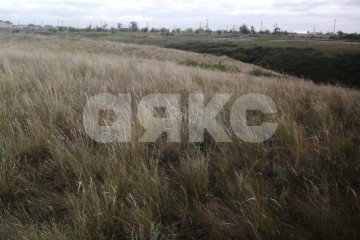 Фото №4: Участок садоводство - Царицын, снт Диана, ул. Хуторская, 555