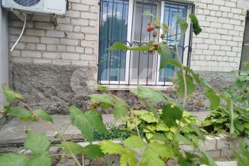 Фото №4: Часть дома 262 м² - Волгоград, п. Северный, 