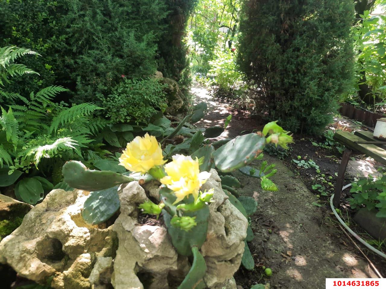 Фото №7: Дом 35 м² + 7.66 сот. - № 7, Прикубанский внутригородской округ, ул. 2-я Линия, 10