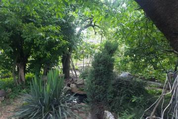 Фото №3: Дом 35 м² - № 7, мкр. Прикубанский внутригородской округ, ул. 2-я Линия, 10