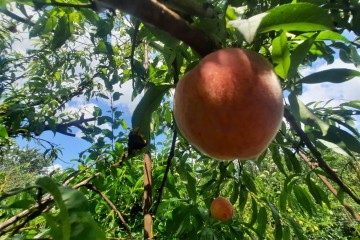 Фото №5: Дом 35 м² - № 7, мкр. Прикубанский внутригородской округ, ул. 2-я Линия, 10