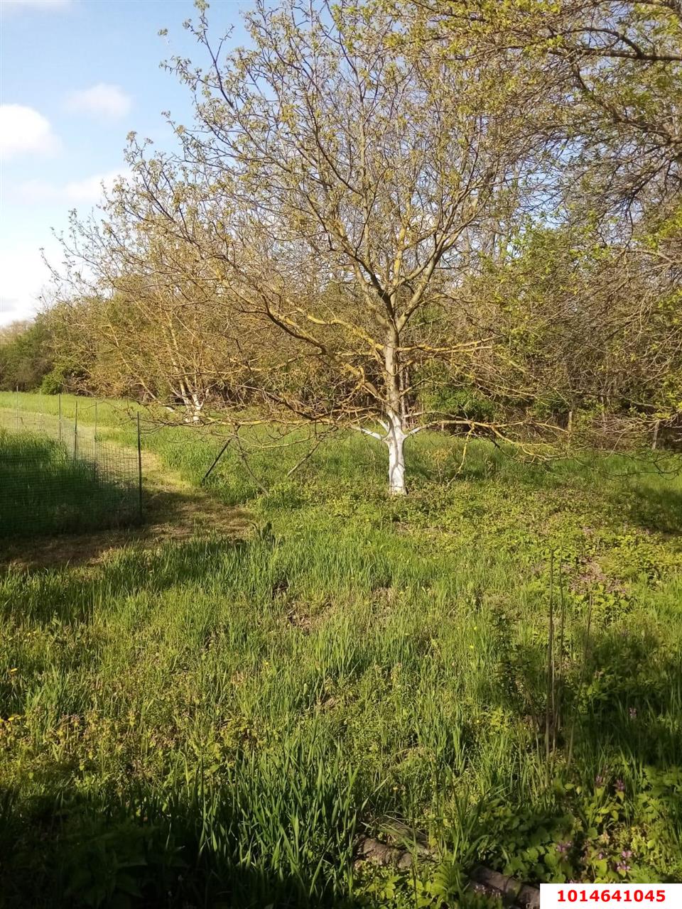 Фото №3: Земельный участок под ИЖС 19 сот. - Афипсип, ул. Набережная, 22