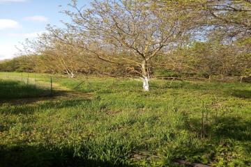 Фото №3: Земельный участок 19 сот. - Афипсип, ул. Набережная, 22