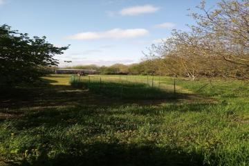 Фото №4: Земельный участок 19 сот. - Афипсип, ул. Набережная, 22