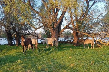 Фото №1: Земельный участок под ИЖС 19 сот. - Афипсип, ул. Набережная, 22
