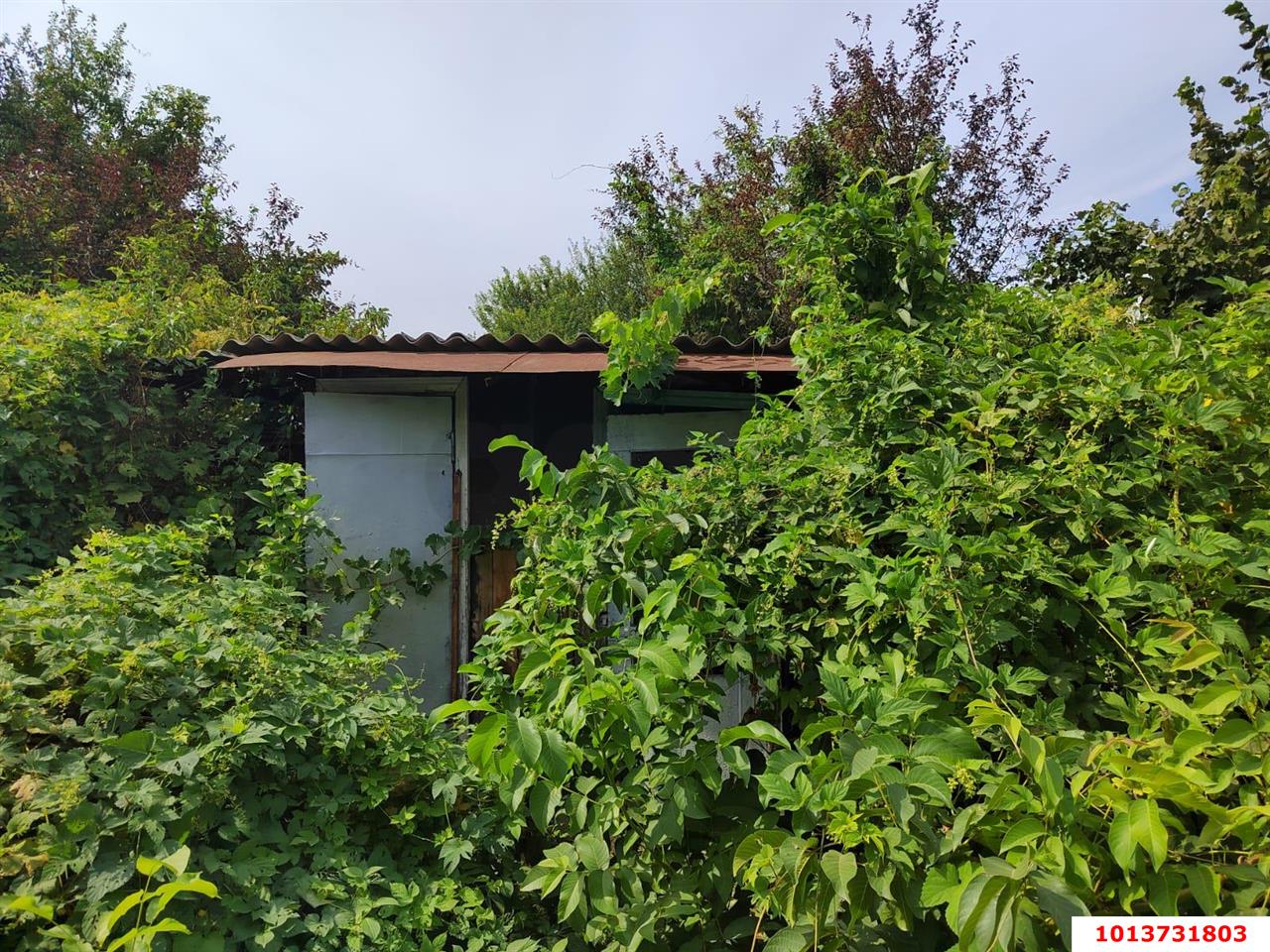 Фото №14: Земельный участок 4 сот. - Елизаветинская, Прикубанский внутригородской округ, ст Связист-2, ул. Виноградная, 298