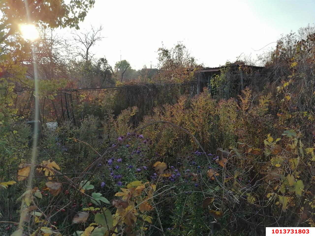 Фото №6: Участок садоводство 4 сот. - Елизаветинская, Связист-2, ул. Виноградная, 298