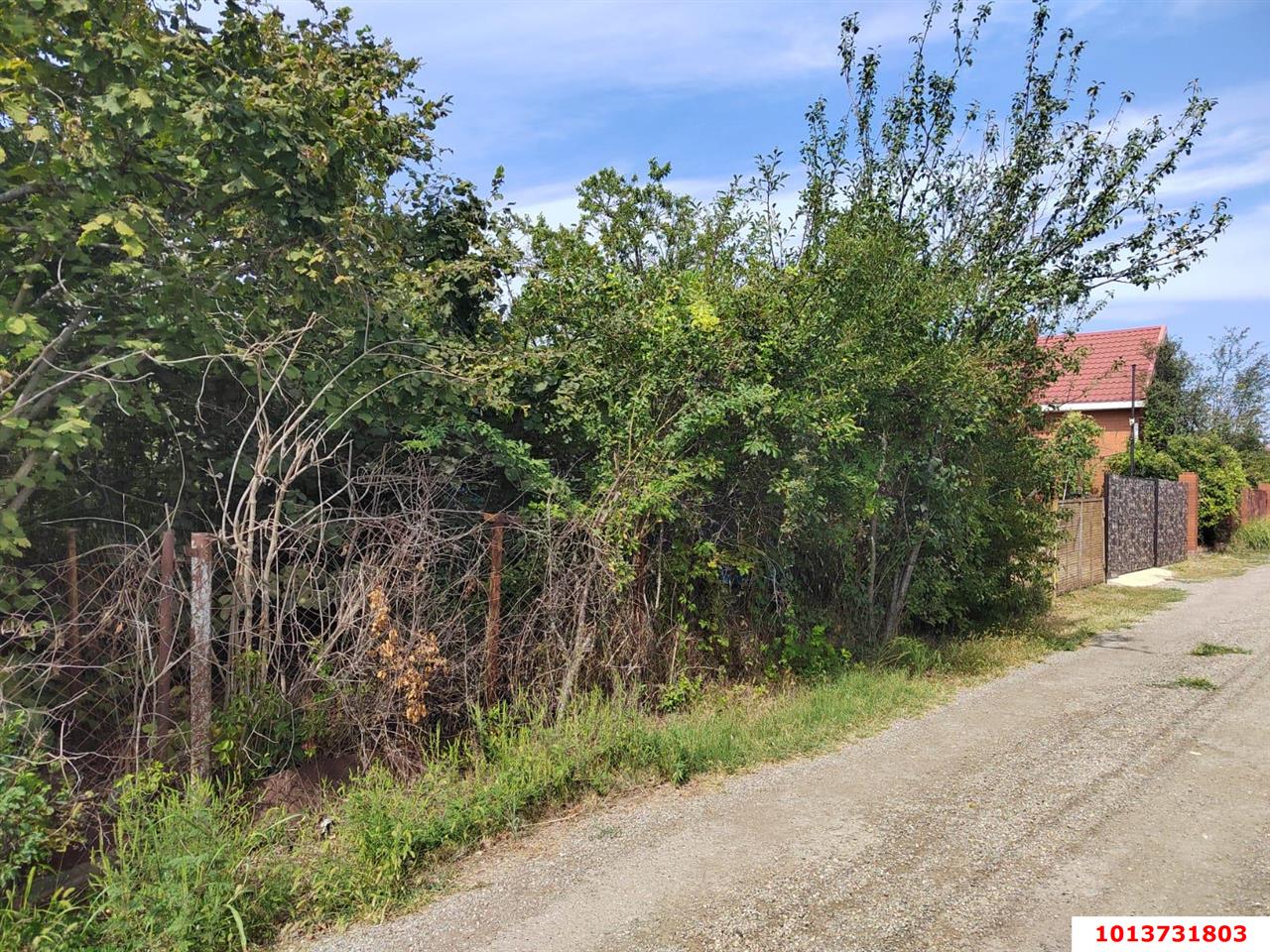 Фото №13: Участок садоводство 4 сот. - Елизаветинская, Связист-2, ул. Виноградная, 298