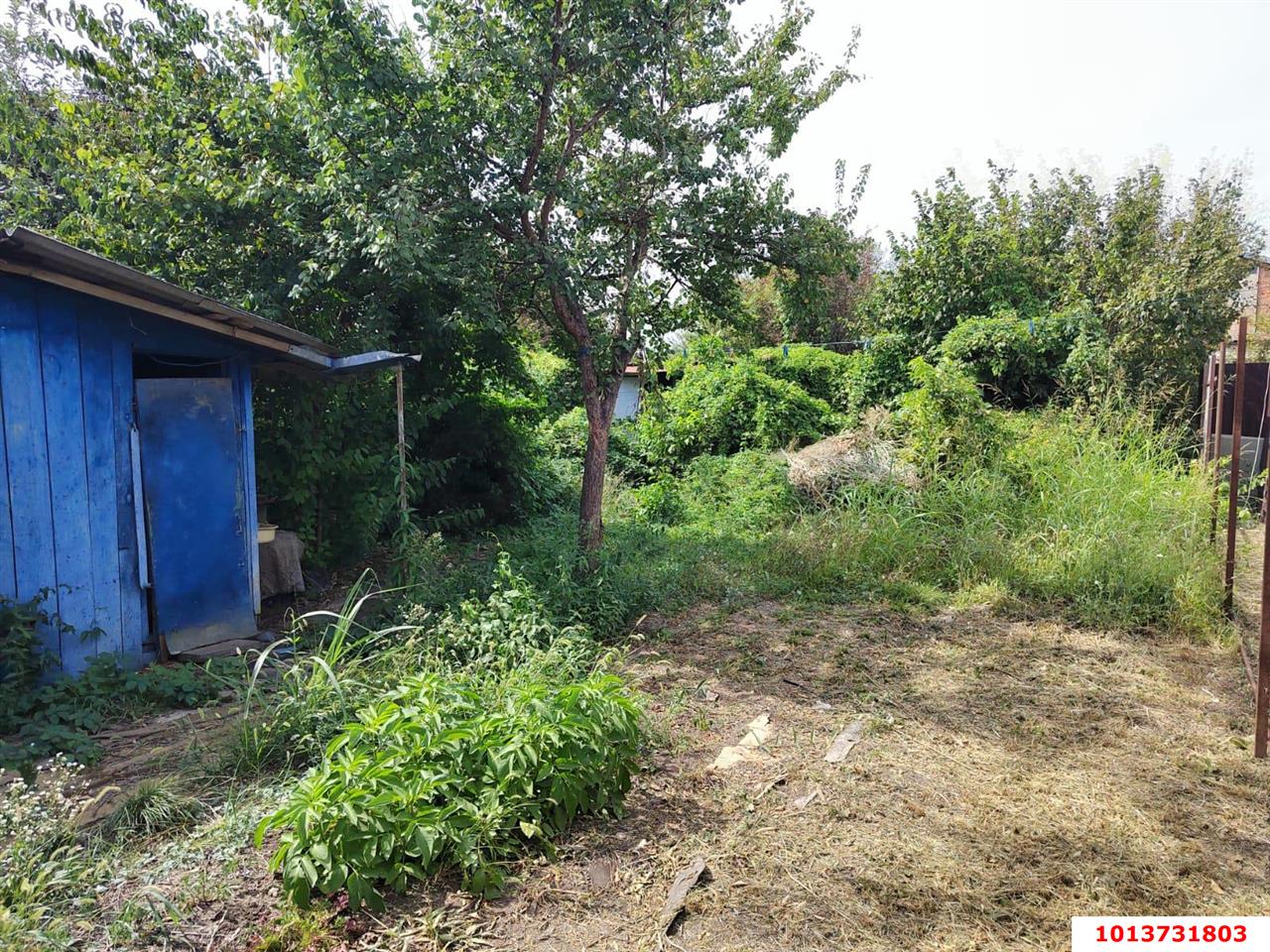 Фото №16: Земельный участок 4 сот. - Елизаветинская, Прикубанский внутригородской округ, ст Связист-2, ул. Виноградная, 298