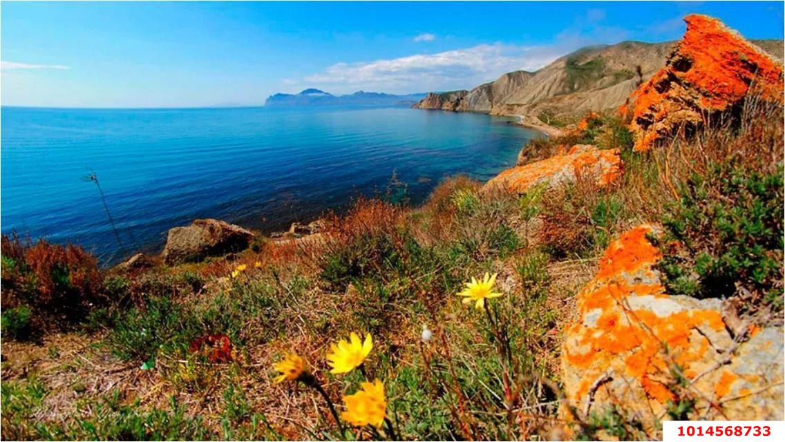 Фото №14: Личное подсобное хозяйство - Орджоникидзе, счт Планета, ул. Тихая, 17