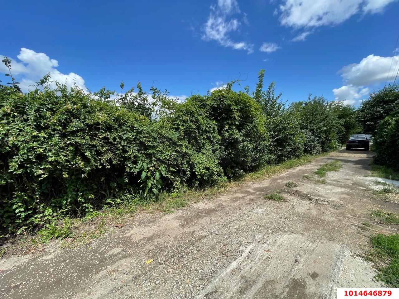 Фото №5: Участок садоводство 4.3 сот. - Краснодар, СНТ Солнышко, ул. Виноградная, 747