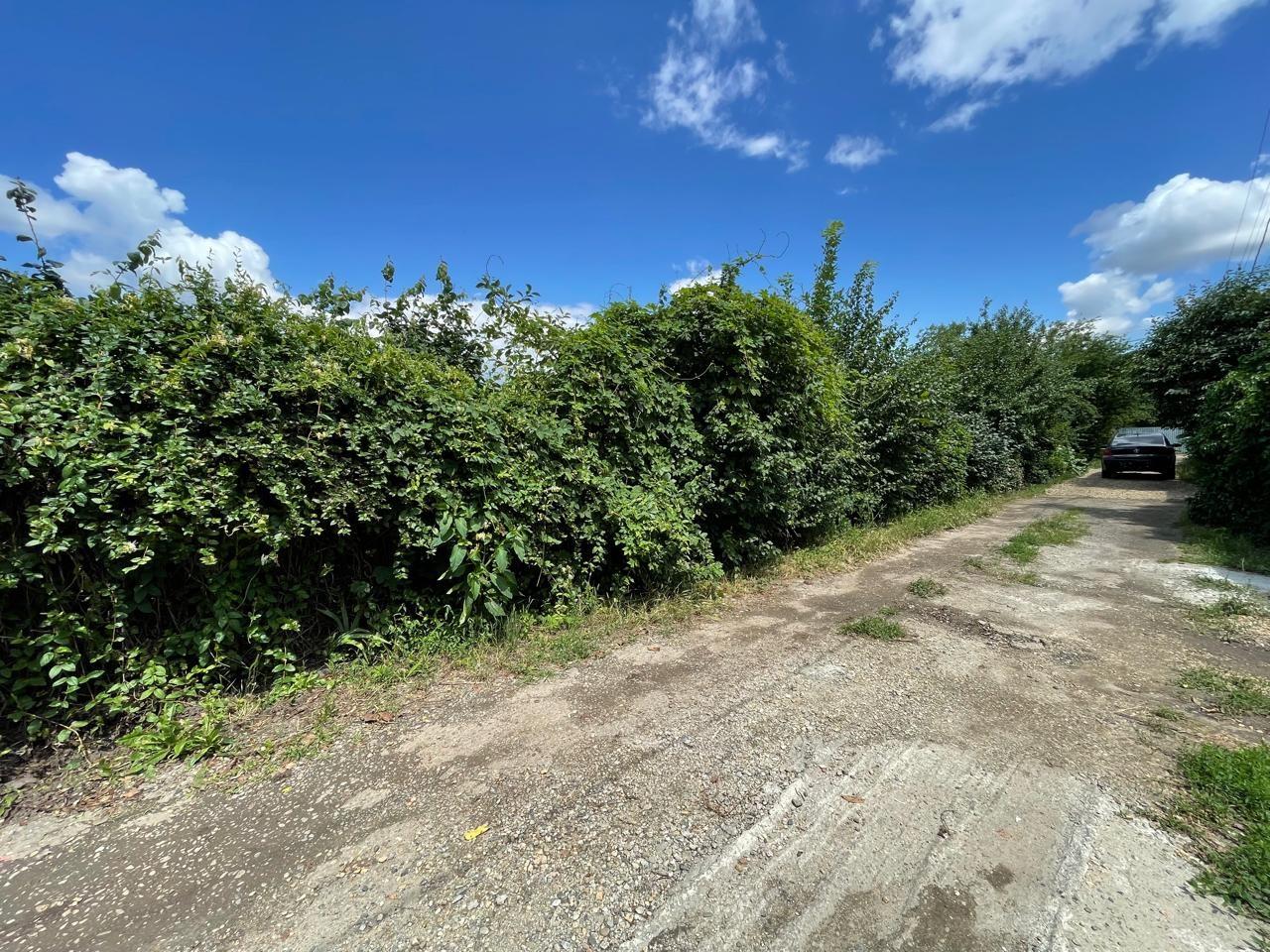 Фото №5: Земельный участок 4.3 сот. - Краснодар, Прикубанский внутригородской округ, Сады Калинина, мкр. СНТ Солнышко, ул. Виноградная, 747