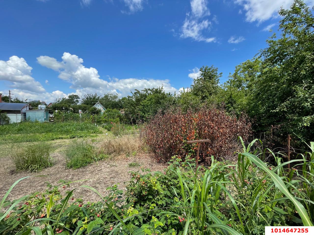 Фото №4: Земельный участок 4.41 сот. - Краснодар, Прикубанский внутригородской округ, Сады Калинина, мкр. СНТ Солнышко, ул. Виноградная, 750