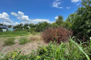 Фото №4: Участок садоводство 4.41 сот. - Краснодар, мкр. СНТ Солнышко, ул. Виноградная, 750