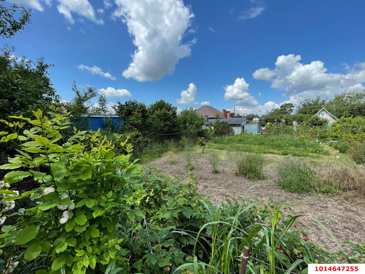 Фото №1: Участок садоводство 4.41 сот. - Краснодар, СНТ Солнышко, ул. Виноградная, 750