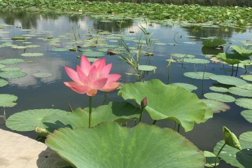 Фото №2: Дом 74 м² - Садки, ул. Чапаева, 8/4