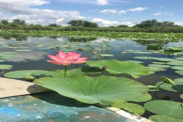 Фото №2: Дом 74 м² - Садки, ул. Чапаева, 8/4