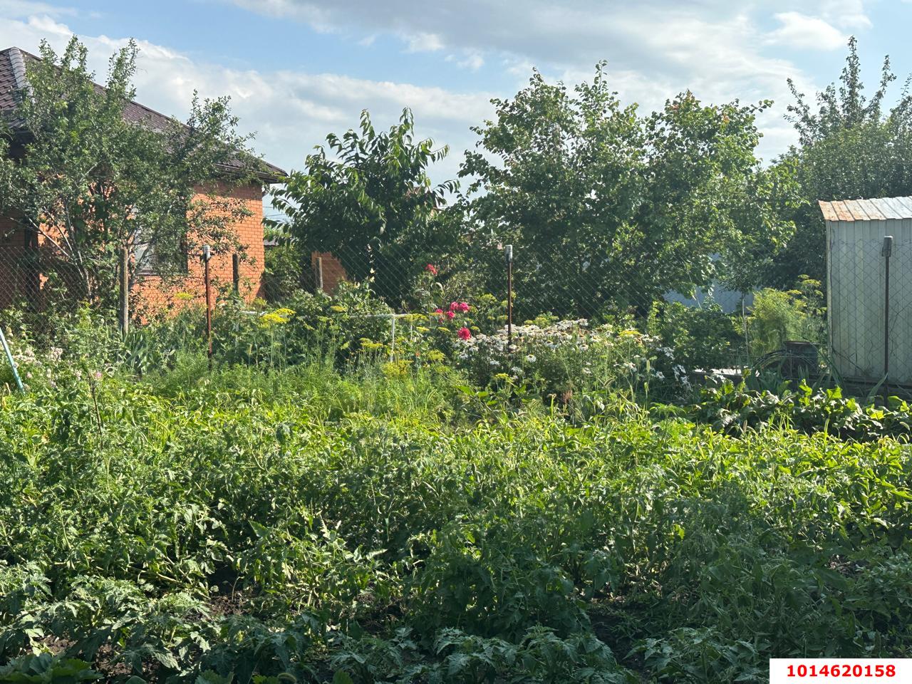 Фото №17: Дом 60 м² + 4 сот. - СНТ Строитель, Прикубанский внутригородской округ, ул. Сливовая