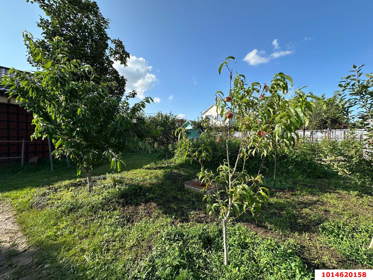 Фото №18: Дом 60 м² + 4 сот. - СНТ Строитель, Прикубанский внутригородской округ, ул. Сливовая