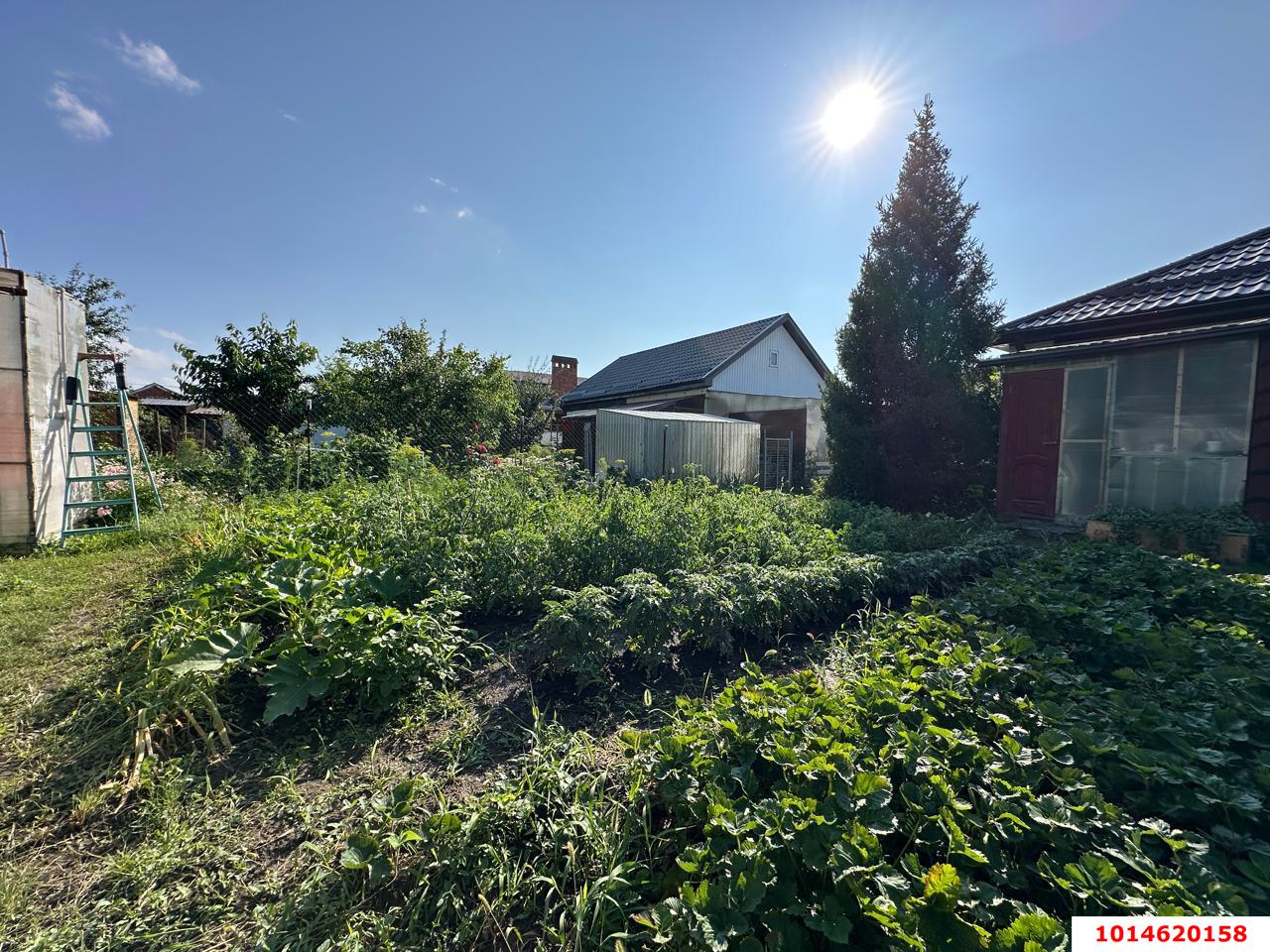 Фото №19: Дом 60 м² + 4 сот. - СНТ Строитель, мкр. Прикубанский внутригородской округ, ул. Сливовая