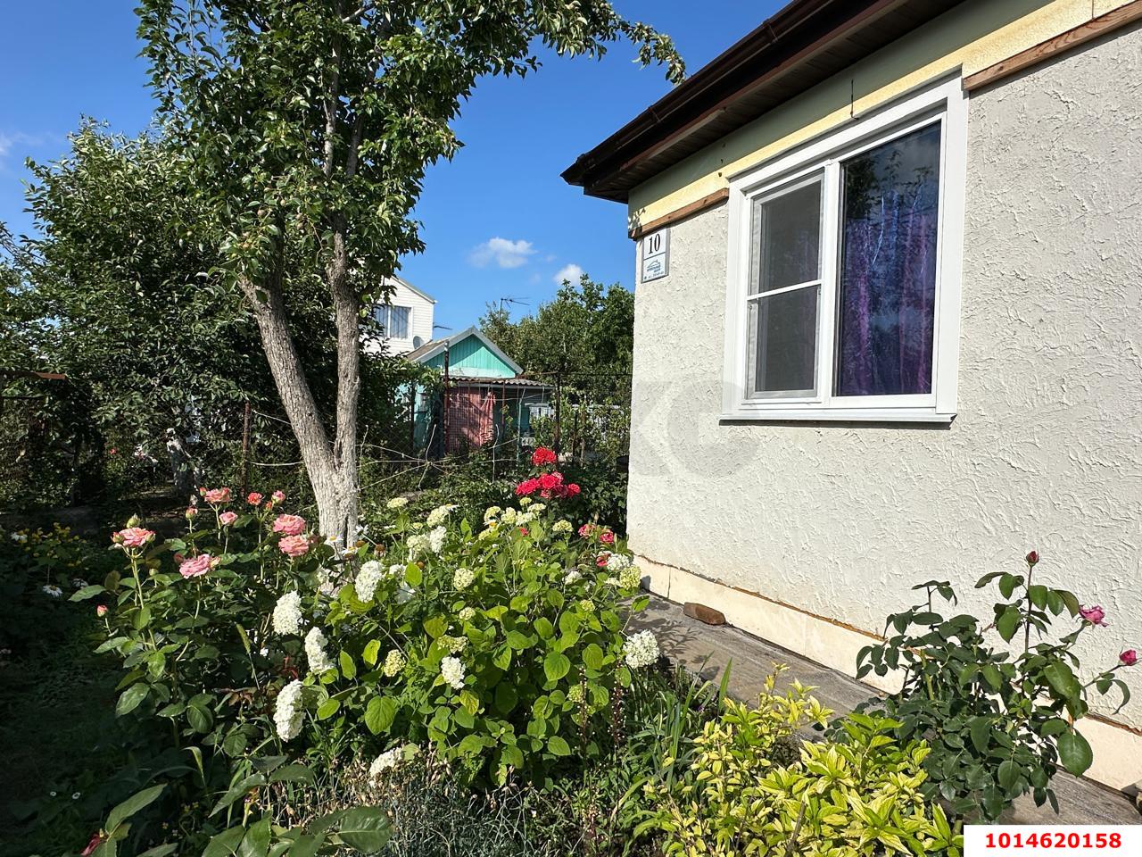 Фото №14: Дом 60 м² + 4 сот. - СНТ Строитель, Прикубанский внутригородской округ, ул. Сливовая