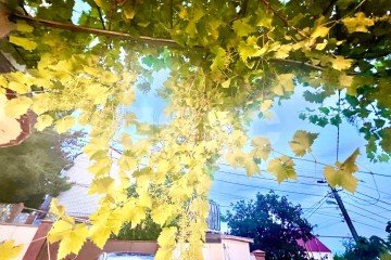 Фото №5: Коттедж 223 м² - Геленджик, мкр. СНТ Виноградарь-2, ул. Алычёвая, 4