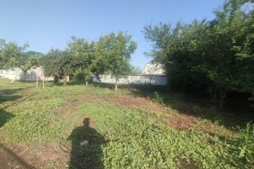 Фото №4: Участок садоводство 4 сот. - Кубанская Нива, мкр. Прикубанский внутригородской округ, ул. Солнечная, 962