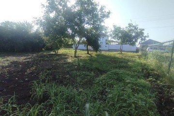 Фото №5: Участок садоводство 4 сот. - Кубанская Нива, мкр. Прикубанский внутригородской округ, ул. Солнечная, 962